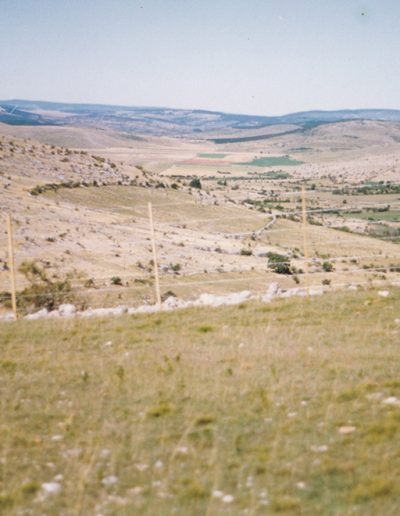Parc pour chevaux de Przewalski