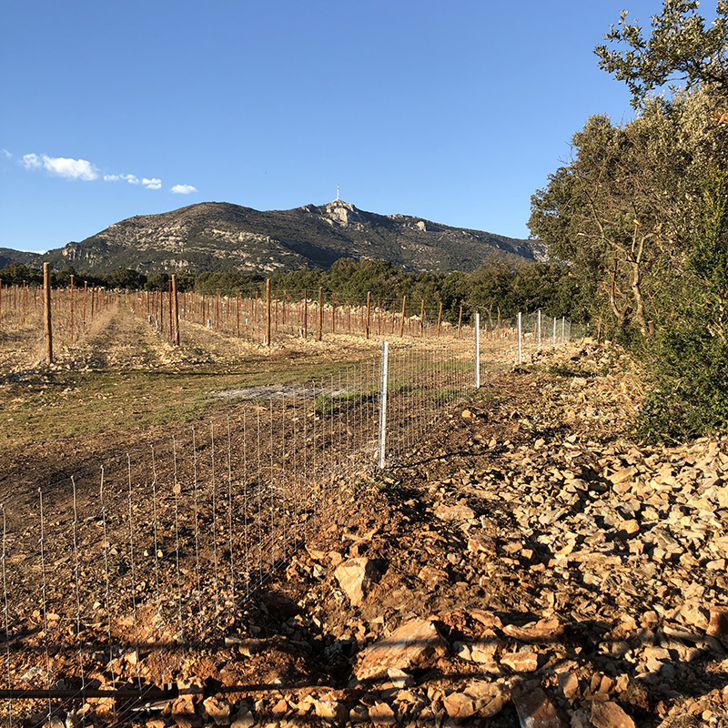 Clôtures en grillage