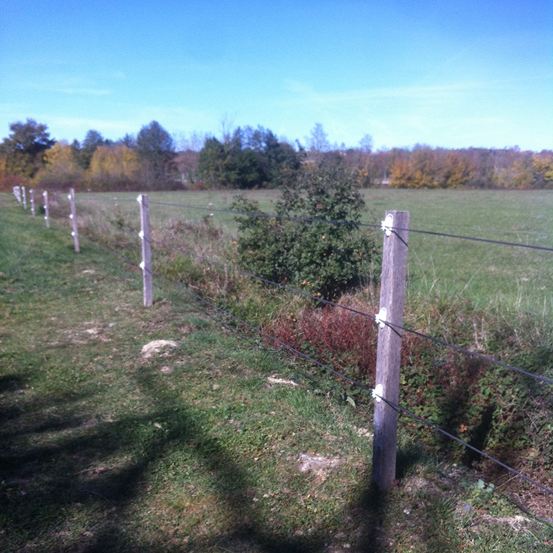 Clôture en fil électrifié