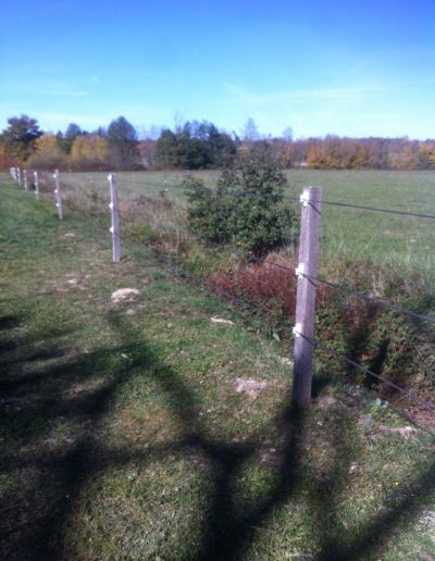 Fil Equifil pour chevaux