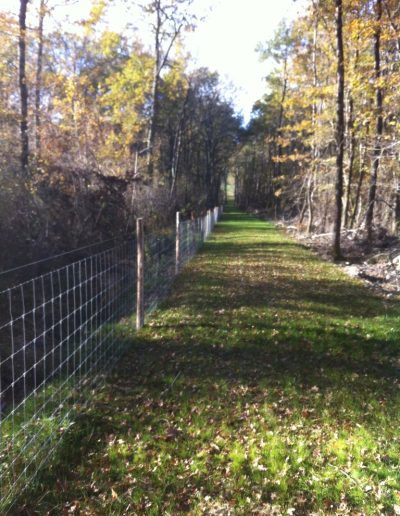 Clôture en grillage de 1.30