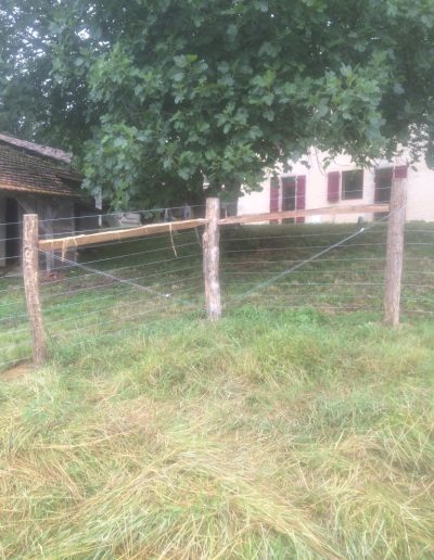 Parc électrifié de dressage pour boucs