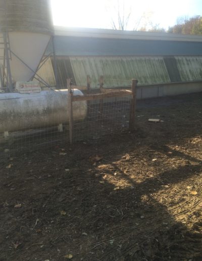 Clôture pour volailles doublée de fils électriques