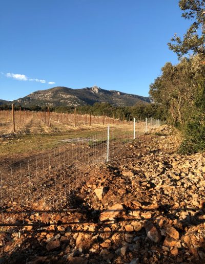 Protection de vignobles