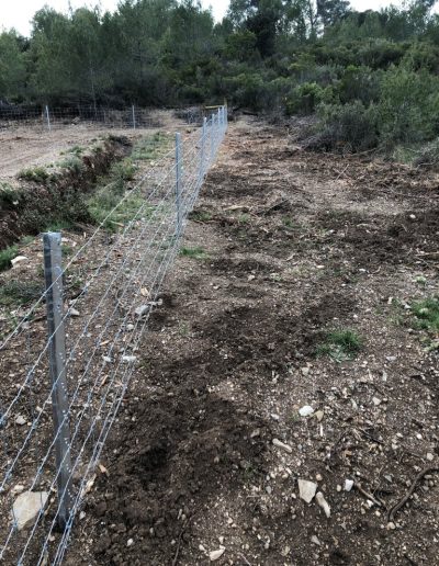 Dégâts au raz de la clôture