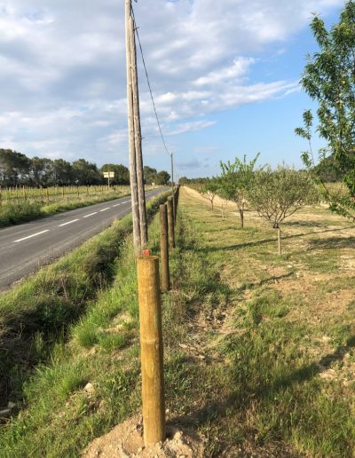Vignobles du Pic Saint-Loup