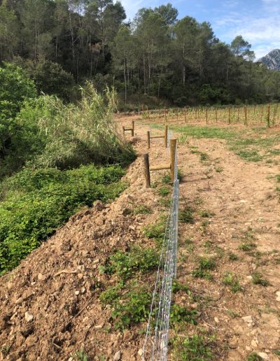 Protection de vignoble