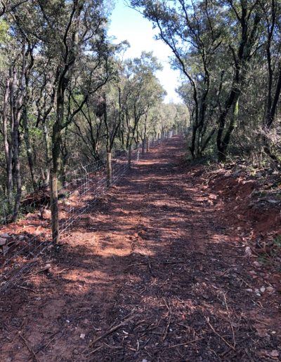 Clôture sur poteaux en pin traité