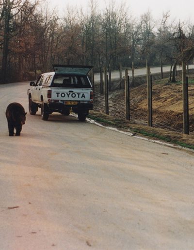 Parc pour ours polaires à Peaugres